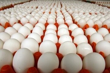 6222270