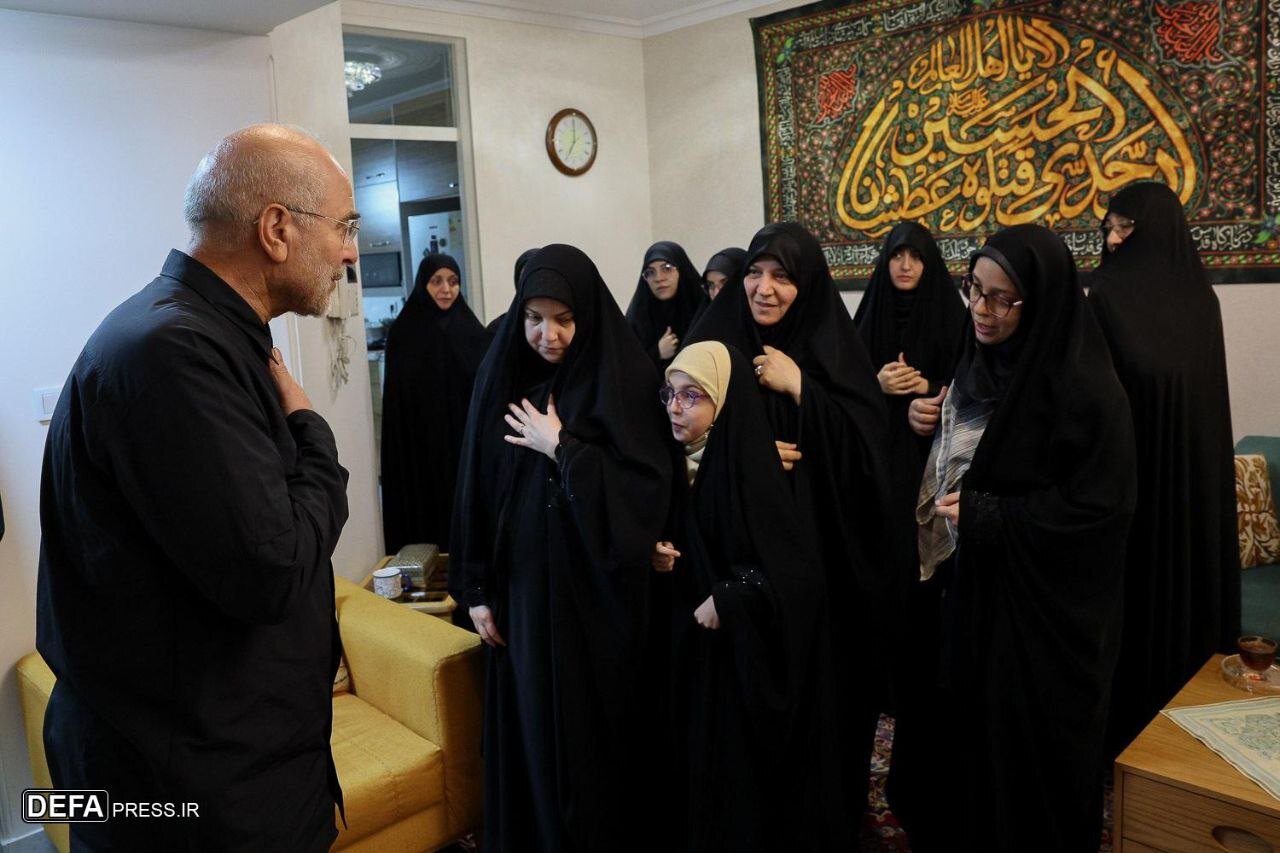 دیدار رئیس مجلس با خانواده سپهبد شهید باقری