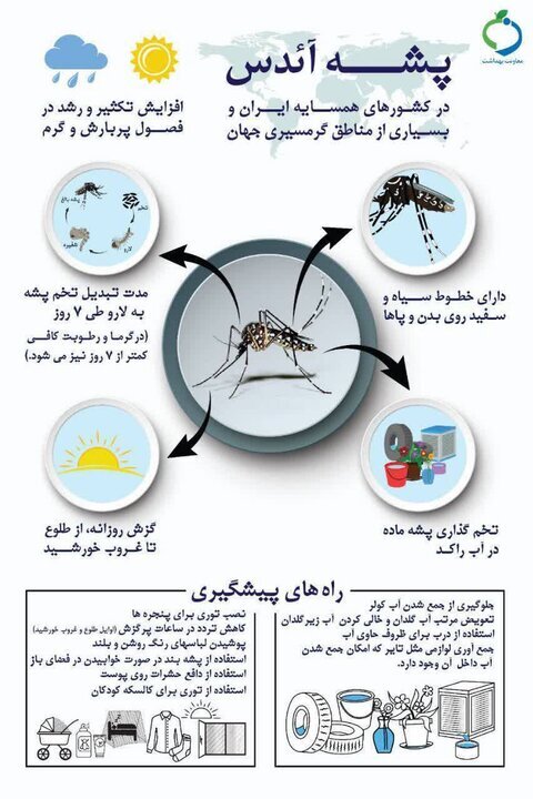 هشدار وزارت بهداشت درباره یک حشره خطرناک
