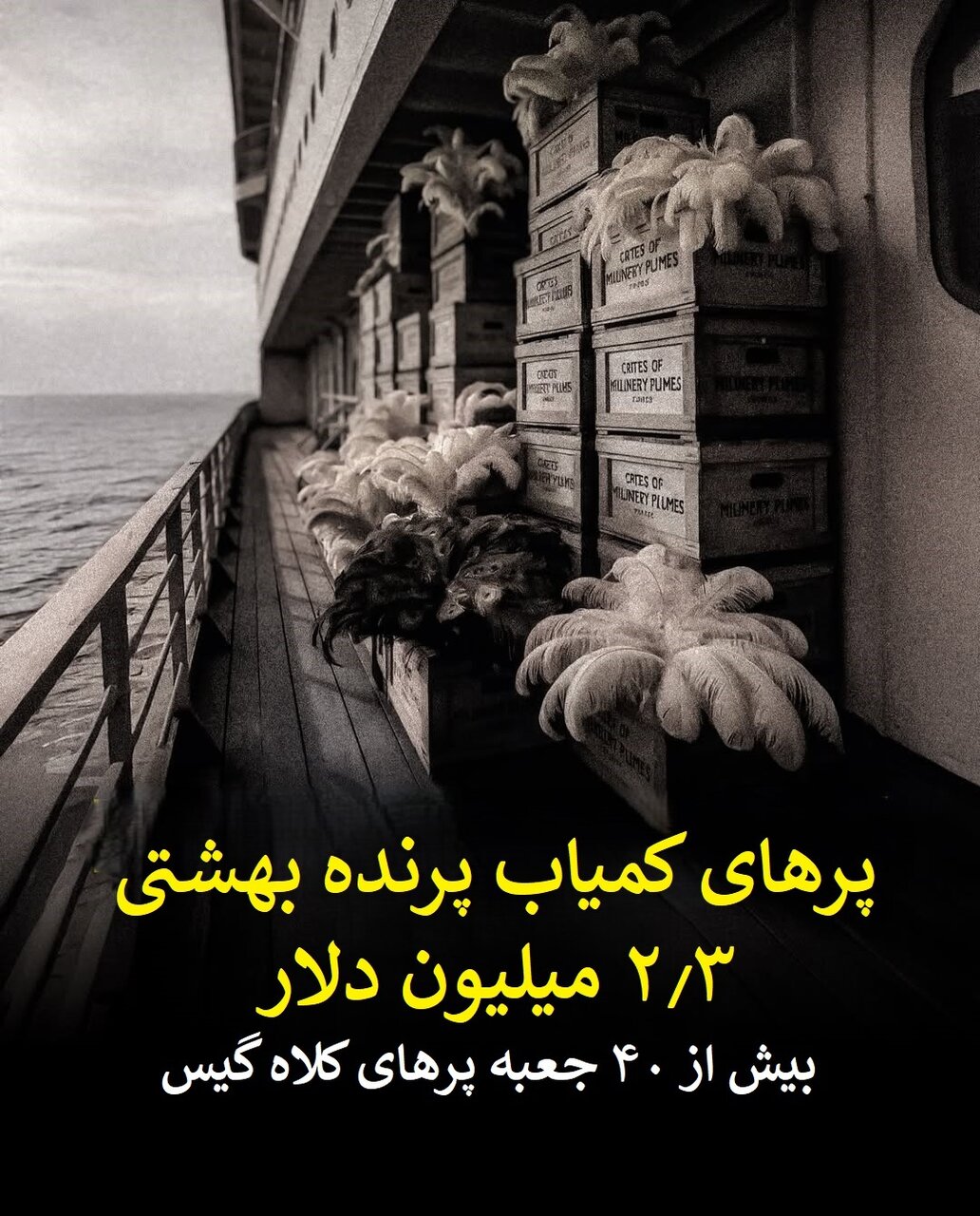 جزئیات ثروت افسانه‌ای کشتی تایتانیک که در قعر اقیانوس آرمیده + عکس