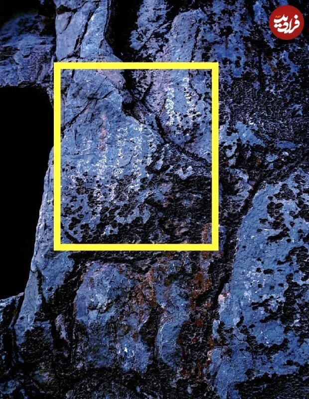 کشف کتیبه ۱۵۰۰ ساله بر روی یک «استخوان‌دان» دوره ساسانی