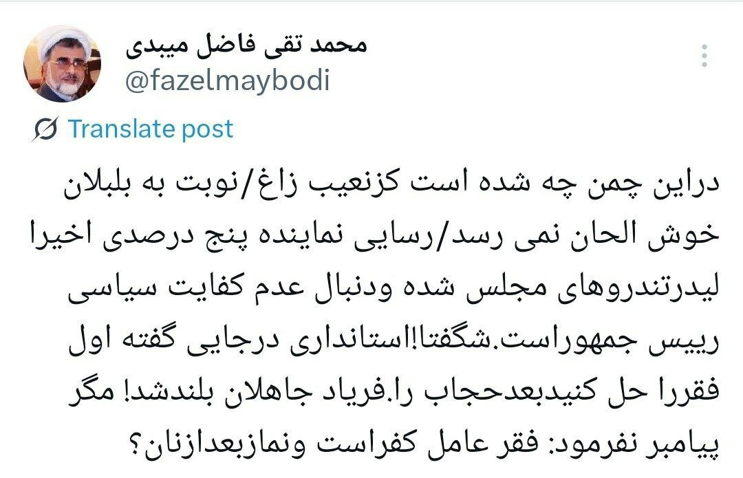 طعنه تند فاضل میبدی به حمید رسایی؛ نماینده پنج درصدی، لیدر تندروهای مجلس شده / در این چمن چه شده که کز نعیب زاغ، نوبت به بلبلان خوش الحان نمی رسد؟!