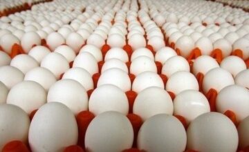 6222270