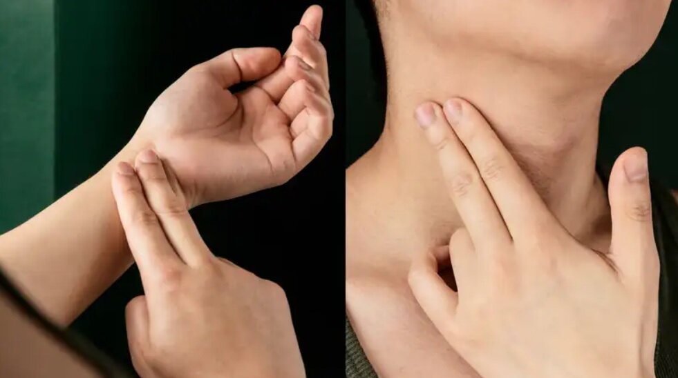 آزمونهای سلامت در خانه/ تست ضربان قلب در حالت استراحت