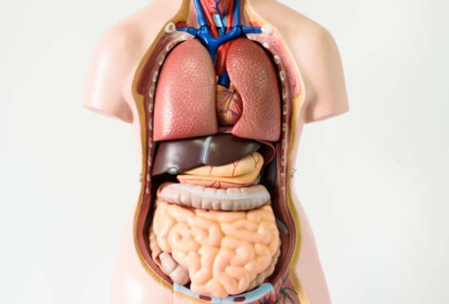 نادرترین بیماریهایی که موجب مرگ میشوند