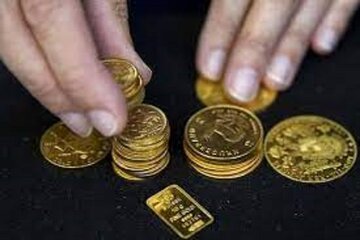6287136 1