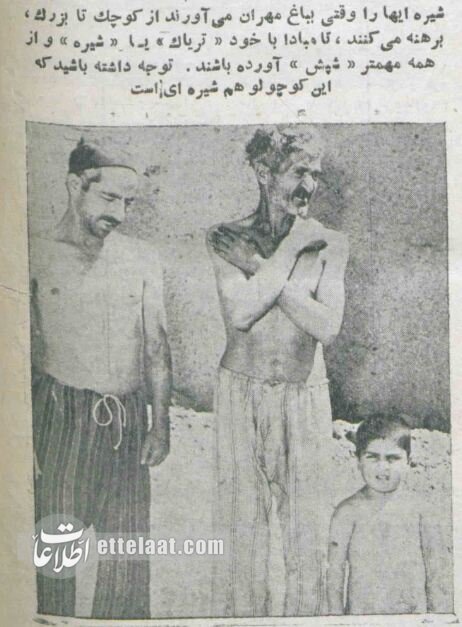 عکسهای تکاندهنده از شیرهکشخانههای تهران در دهه سی