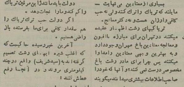 تریاکی‌های تهران به رشت پناه بردند! +جزئیات