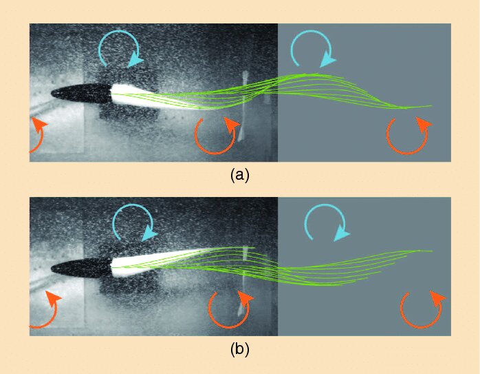 موشک آزمایشی شب گذشته، چقدر قدرتمند بود؟ / نگاهی علمی به رد درخشان موشک در آسمان کشور