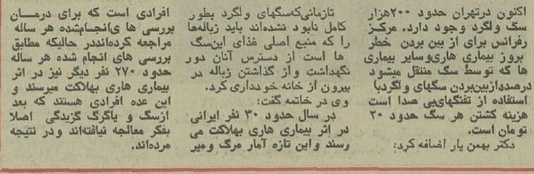 تهران در محاصره دویست هزار سگ بیصاحب! + هزینه کشتن هر سگ