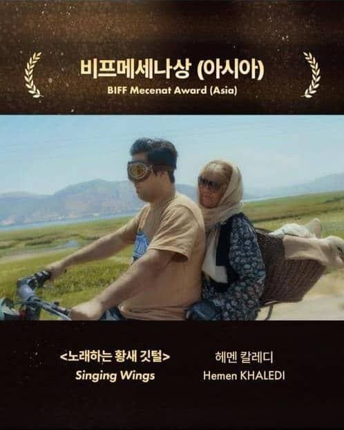 جایزه جشنواره بوسان به ایران رسید