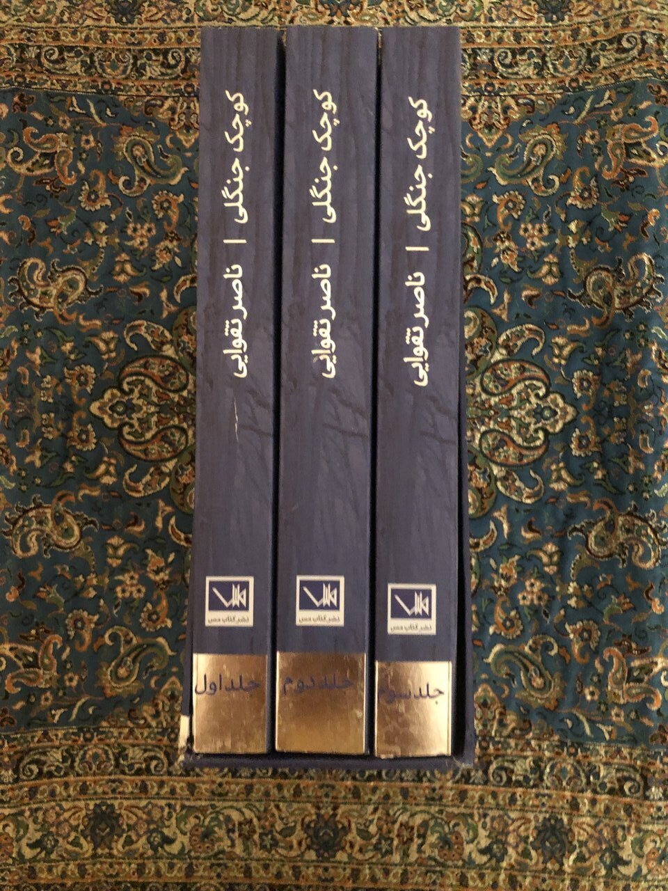 تکبیری که سرنوشت سریال «کوچک جنگلی» را عوض کرد/ به بهانه درگذشت ناصر تقوایی