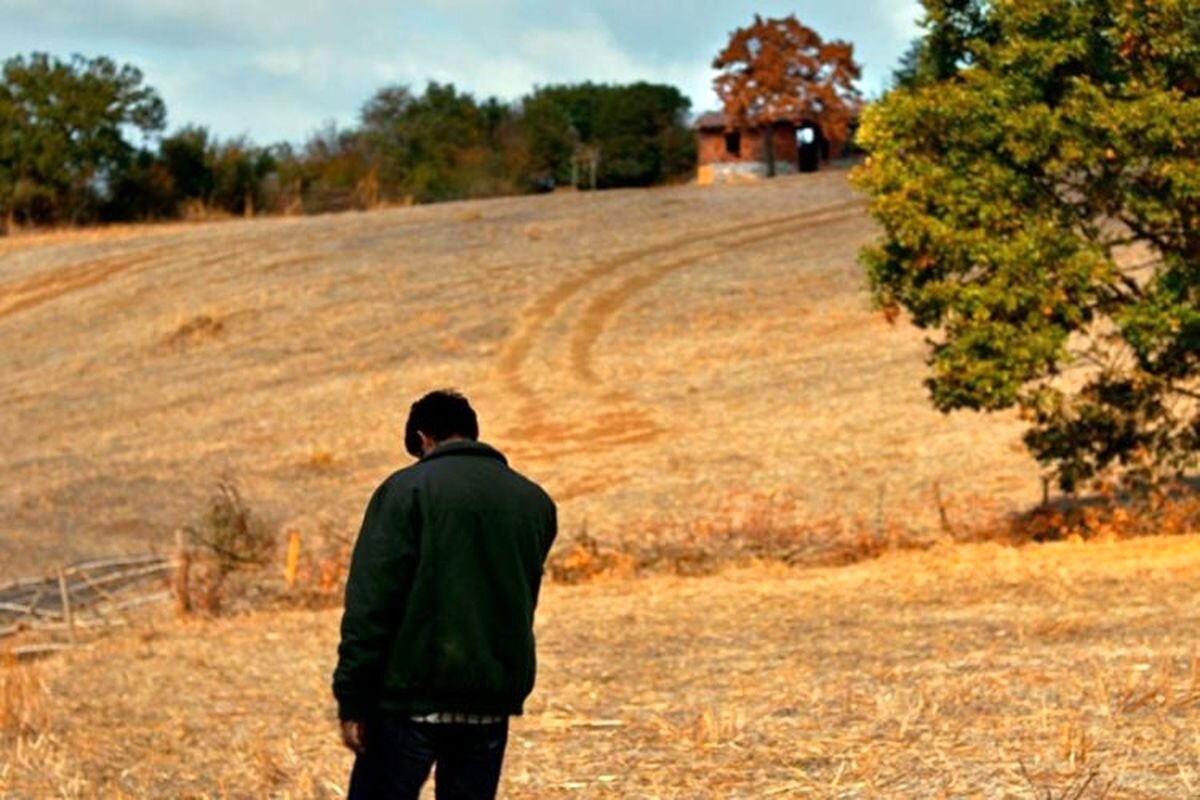 استادِ نشان دادن اضطرابِ آدم‌های سرگشته/ نوری بیلگه جیلان به ایران می‌آید