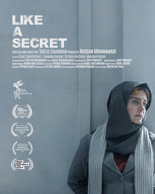 اکران آنلاین فیلمی با بازی الناز شاکردوست