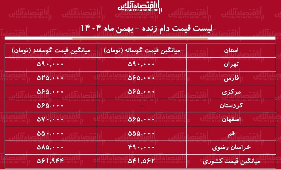 لیست قیمت دام زنده امروز ۲۷ بهمن ۱۴۰۴ / گوساله و گوسفند کیلویی چند شد؟ + جدول