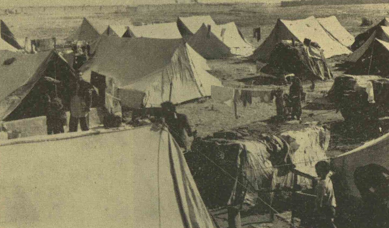 گزارشی عجیب از زندگی کولی‌های تهران در زمستان ۱۳۴۹