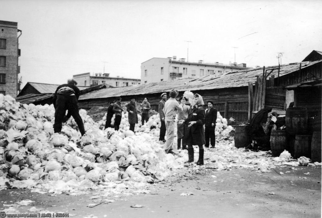 عجایب زندگی روزمره در اتحاد جماهیر شوروی/ «جلوی چشم‌های من، انسانی به‌ خاطر چند قوطی شیر جانش را از دست داد»