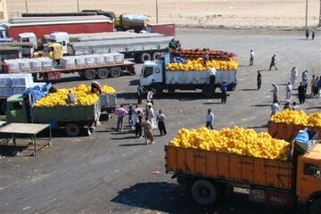 6492431